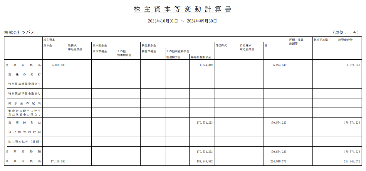 株主資本等変動計算書(横)のプレビュー画面のスクリーンショット