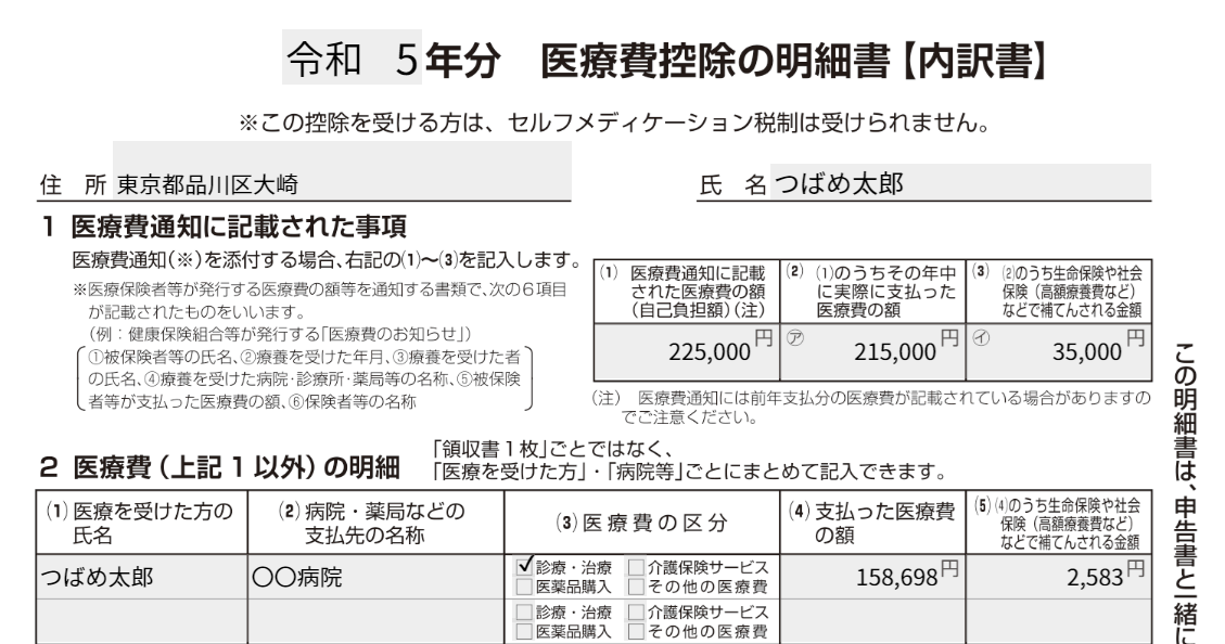 医療費控除の明細書のスクリーンショット