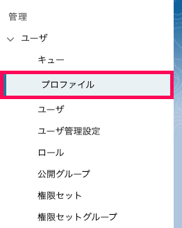 「設定」画面左側のカテゴリ表示から「ユーザ」項目の下層に位置する「プロファイル」を指し示しているスクリーンショット