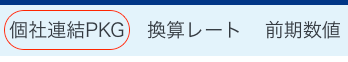 個社連結PKGを指し示しているスクリーンショット