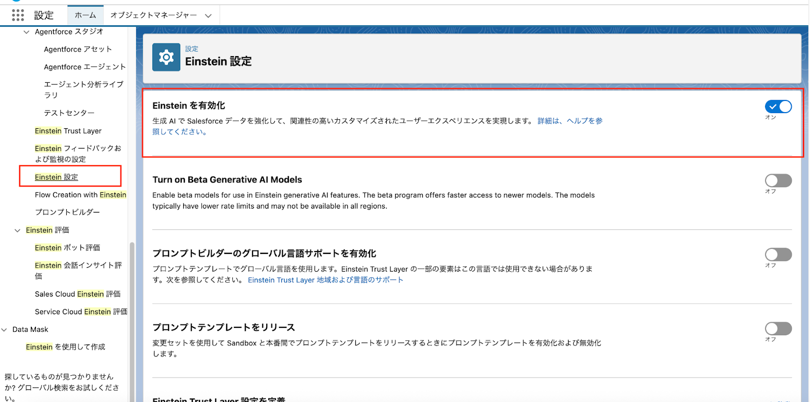 Einstein設定とEinstein有効化を赤枠で囲っているスクリーンショット