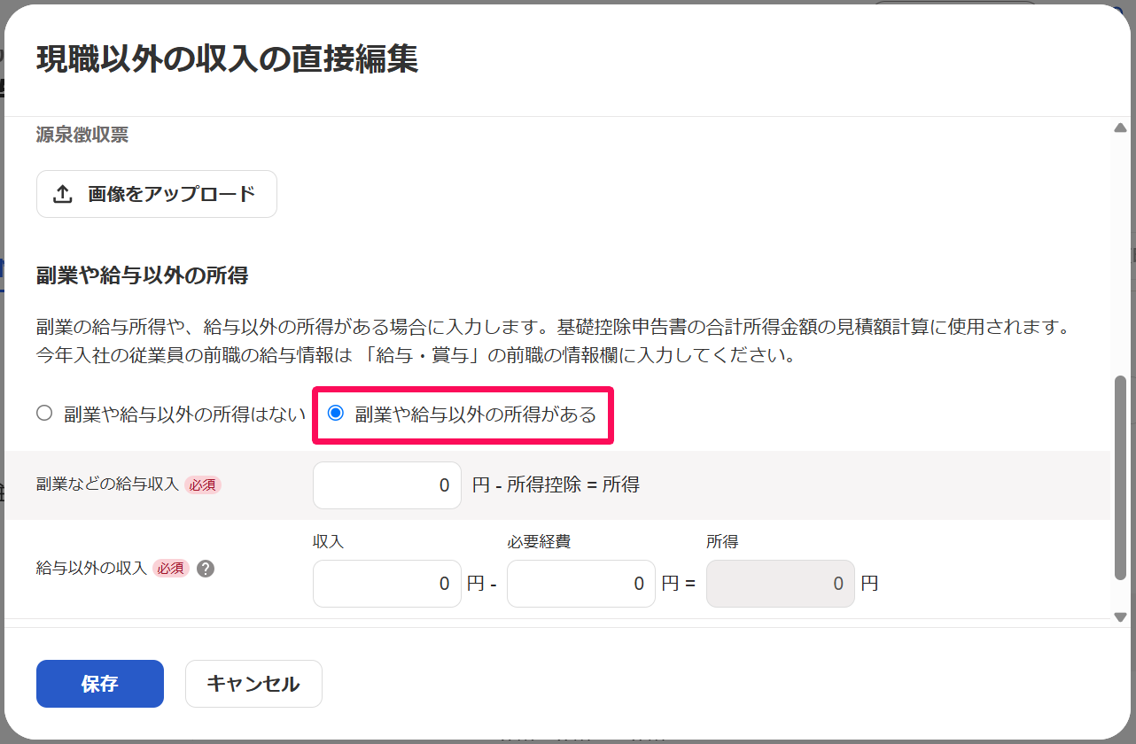 「現職以外の収入の直接編集」画面の［副業や給与以外の所得がある］を指し示しているスクリーンショット