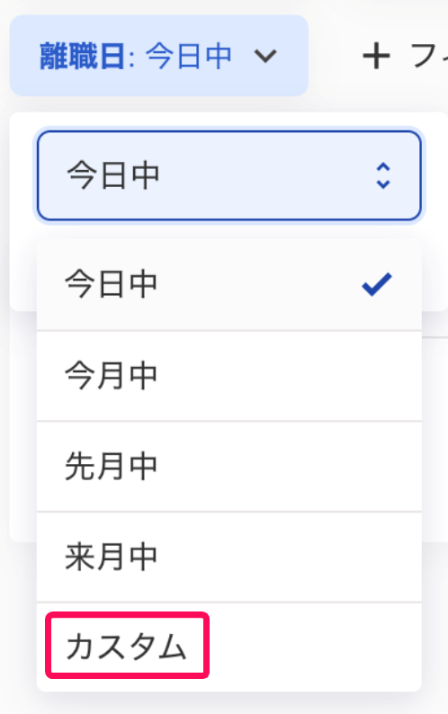 ［カスタム］を指し示すスクリーンショット