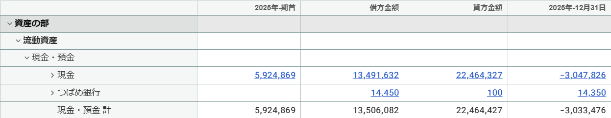 縦の罫線ありで表示した試算表画面のスクリーンショット