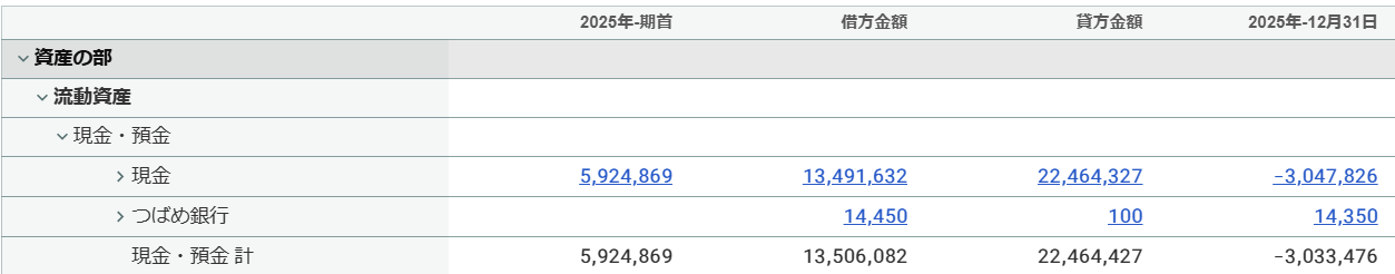 縦の罫線なしで表示した試算表画面のスクリーンショット